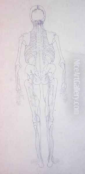 Study of the Human Figure, Posterior View, from A Comparative Anatomical Exposition of the Structure of the Human Body with that of a Tiger and a Common Fowl, c.1795-1806 4 Oil Painting by George Stubbs
