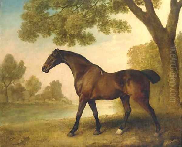 A bay hunter in a wooded river landscape Oil Painting by George Stubbs