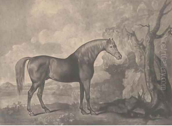 Brown horse mask, by George Townly Stubbs Oil Painting by George Stubbs