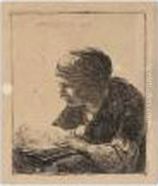 Woman Reading (b., Holl.345; H.113; Bb.34-d) Oil Painting by Rembrandt Van Rijn