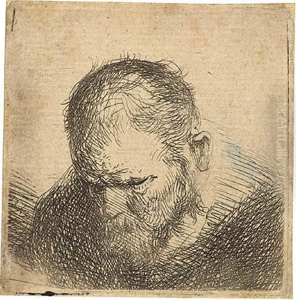 Small Bust Of A Bearded Man Looking Down Oil Painting by Rembrandt Van Rijn