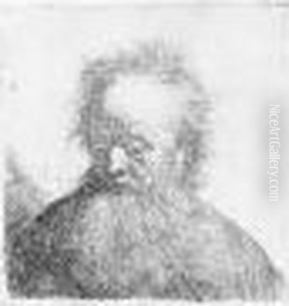 Old Man With A Flowing Beard: Bust (b., Holl.315; H.48; Bb.31-f) Oil Painting by Rembrandt Van Rijn