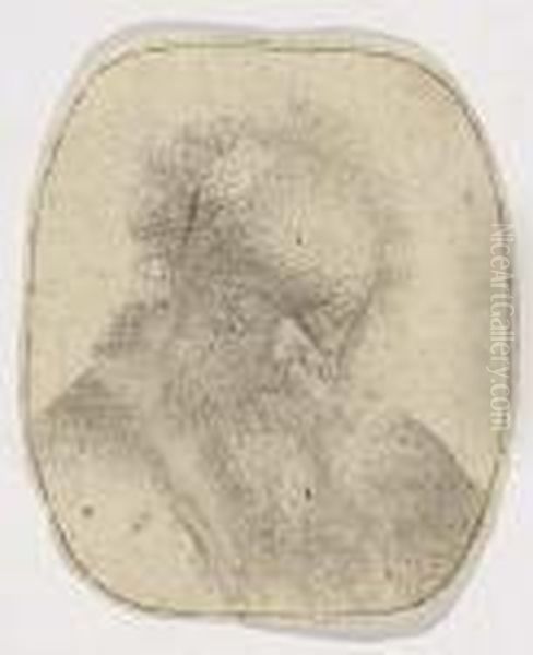 Bust Of An Old Man With Flowing Beard And White Sleeve Oil Painting by Rembrandt Van Rijn