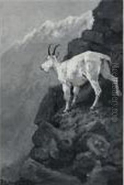 The White Goat At Home (mountain Goat On A Rocky Ledge; Rockymountain Goat) Oil Painting by Frederic Remington