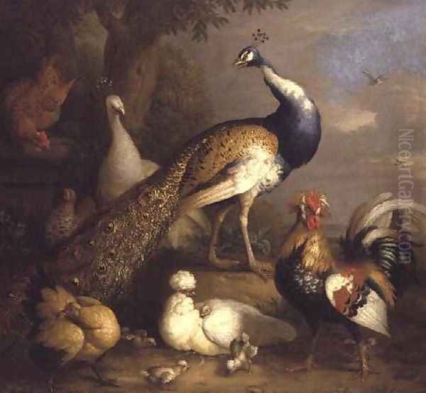 Peacock, Peahen and Poultry in a Landscape Oil Painting by Tobias Stranover