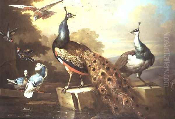 Peacock and Pea Hen in a Landscape Oil Painting by Tobias Stranover