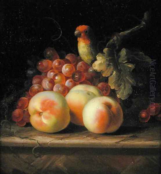 Still Life with Peaches and Grapes on a Ledge with a Parrot perched above Oil Painting by Tobias Stranover