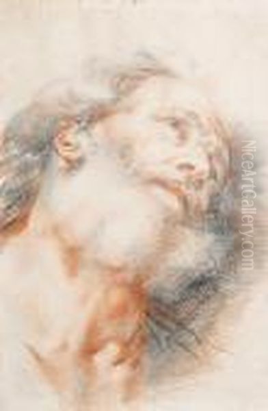 The Head Of A Saint Oil Painting by Guido Reni