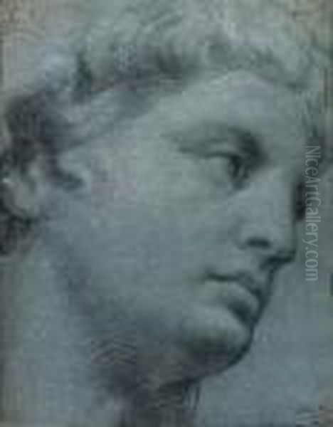 A Study Of A Head After The Antique Oil Painting by Guido Reni