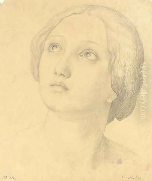 Head of a woman looking up Oil Painting by Friedrich Wilhelm von Schadow