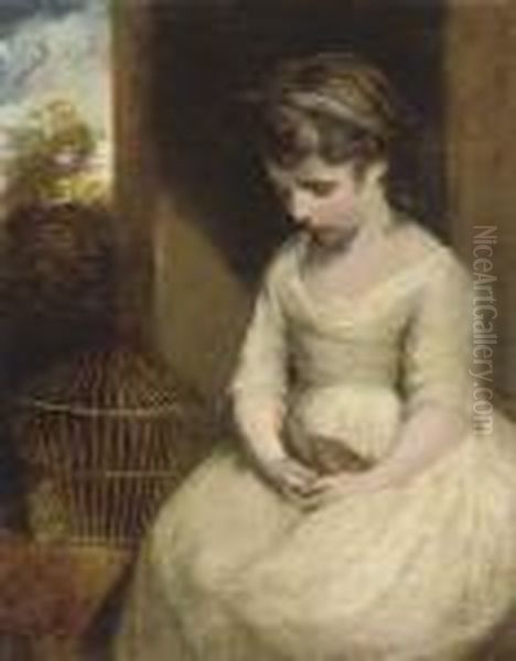 Girl With A Dead Bird Oil Painting by Sir Joshua Reynolds