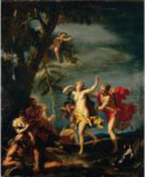 Apollo And Daphne Oil Painting by Sebastiano Ricci