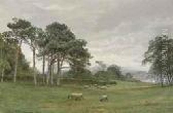 Sheep In Pasture Oil Painting by William Trost Richards