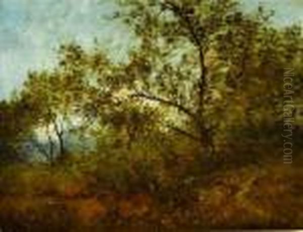  Effet De Lumiere A Travers Les Arbres  Oil Painting by Leon Richet