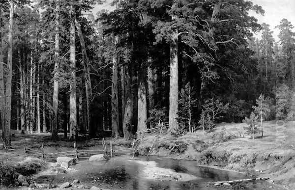 Mast Tree Grove Oil Painting by Ivan Shishkin