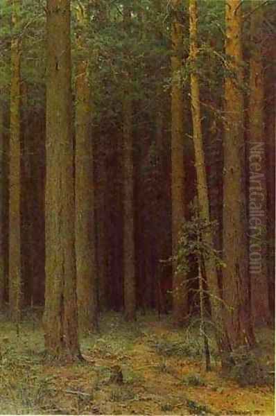 Forest Reserve Pine Grove 1881 Oil Painting by Ivan Shishkin