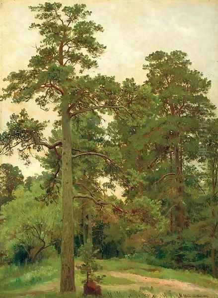 Pine trees, Merekiul' Oil Painting by Ivan Shishkin