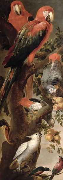 Macaws and Parrots Oil Painting by Frans Snyders