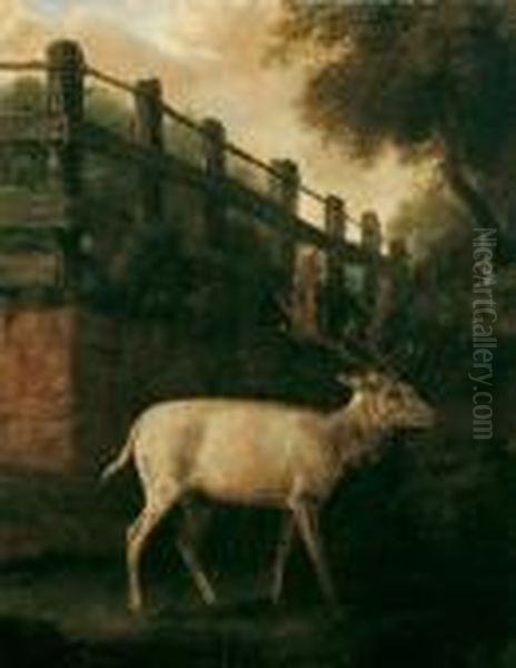 Ein Weisser Damhirsch Im Gehege Oil Painting by Johann Elias Ridinger or Riedinger