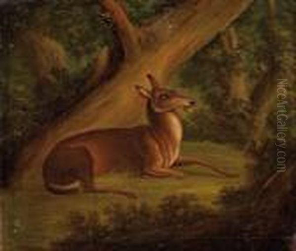 Hirschkuh In Waldlichtung Oil Painting by Johann Elias Ridinger or Riedinger