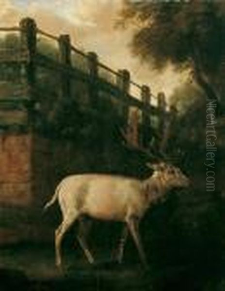 Ein Weisser Damhirsch Im Gehege Oil Painting by Johann Elias Ridinger or Riedinger