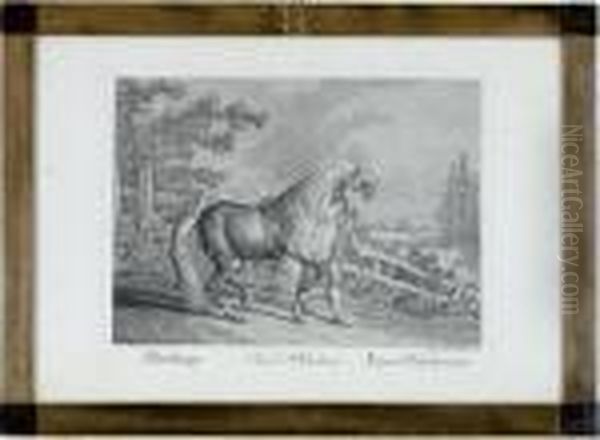 [horse Breeds]: Eleven Plates Oil Painting by Johann Elias Ridinger or Riedinger