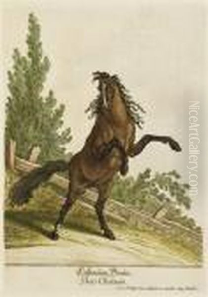 Du Cheval Oil Painting by Johann Elias Ridinger or Riedinger