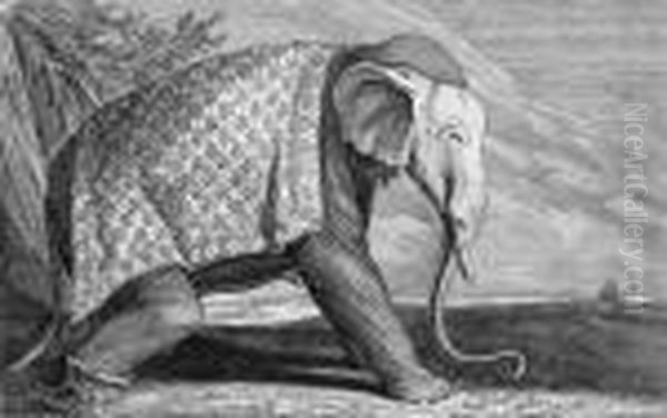 Elefant Oil Painting by Johann Elias Ridinger or Riedinger