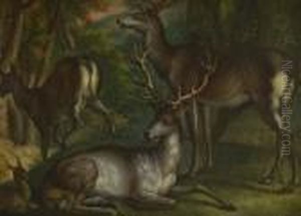 Rotwild Im Wald. Oil Painting by Johann Elias Ridinger or Riedinger