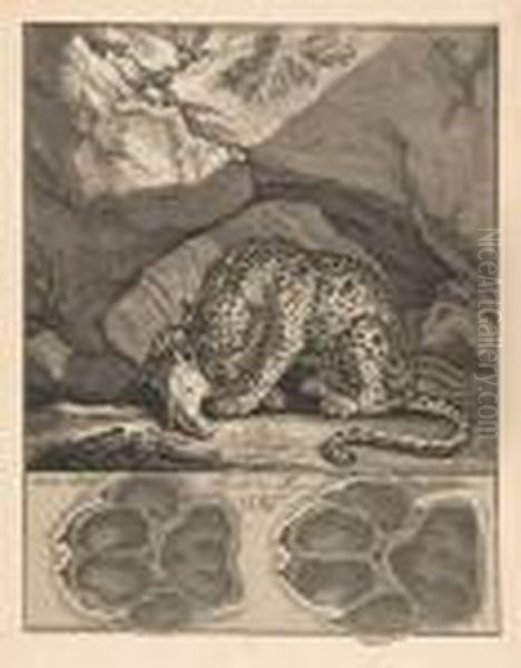 A Leopard Gnawing A Skull Oil Painting by Johann Elias Ridinger or Riedinger