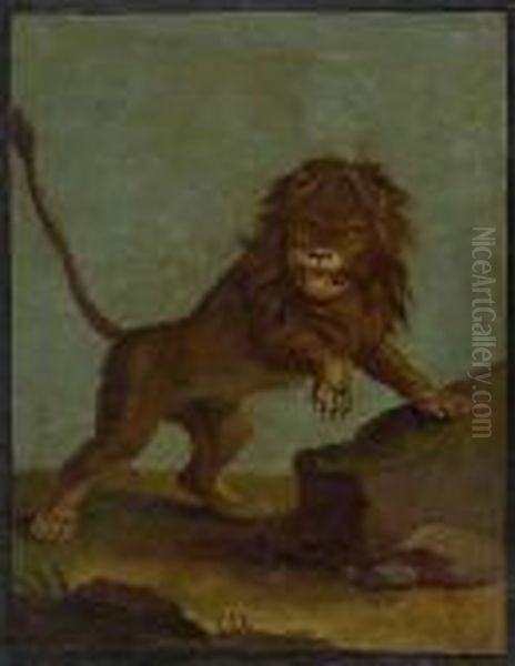 Study Of A Lion Oil Painting by Johann Elias Ridinger or Riedinger