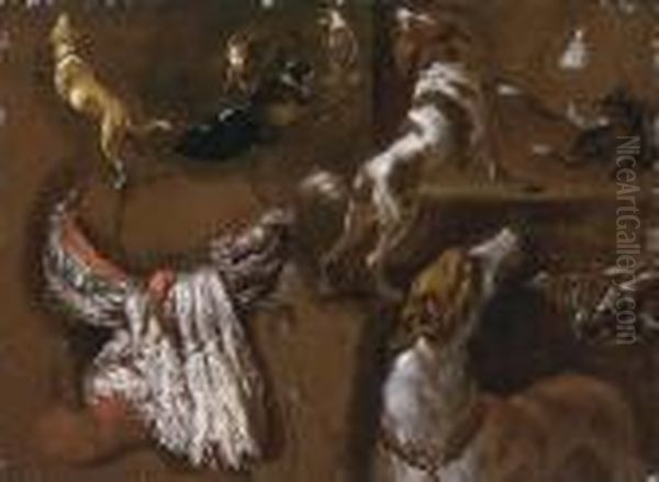 Studies Of Spaniels And Whippets And A A White Headdress Oil Painting by Hyacinthe Rigaud