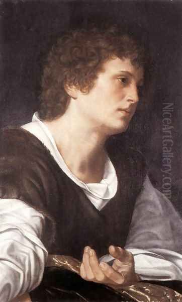 Bust of a Youth c. 1530 Oil Painting by Giovanni Girolamo Savoldo