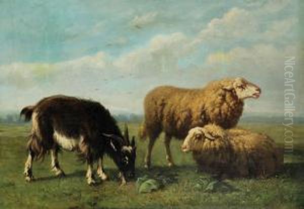 Schapen En Bok In De Wei Oil Painting by Louis Marie Dominique Romain Robbe