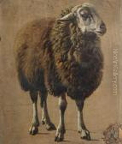 Schaap Oil Painting by Louis Marie Dominique Romain Robbe