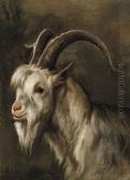 Tete D'un Bouc Oil Painting by Louis Marie Dominique Romain Robbe