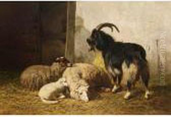 Sheep And A Goat In A Stable Oil Painting by Louis Marie Dominique Romain Robbe