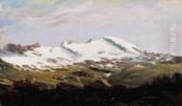 Rododendri In Alta Montagna Oil Painting by Leonardo Roda