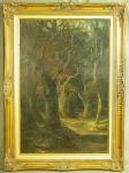 Stag In A Woodland Glade Oil Painting by Clarence Roe