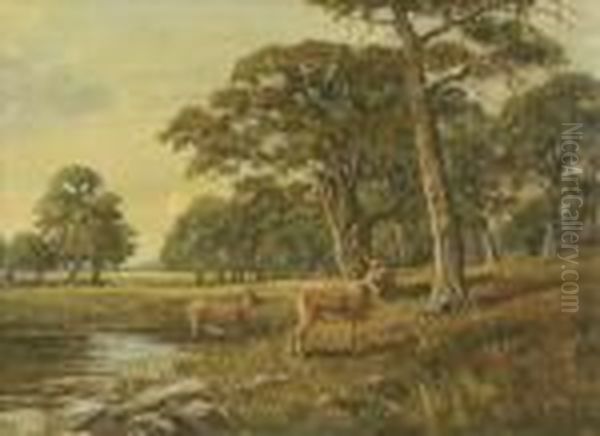 Deer By Aparkland Pool Oil Painting by Clarence Roe