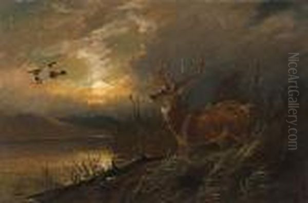 Stag At Dusk Oil Painting by Clarence Roe