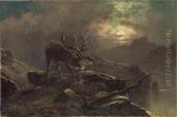 Bellowing Elk Oil Painting by Clarence Roe