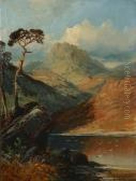 Highland Landscapes Oil Painting by Clarence Roe