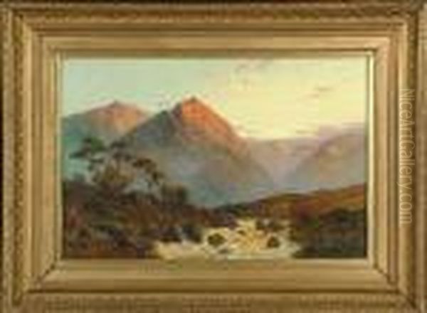 Late Afternoon Sunlight In A Highland Glen Oil Painting by Clarence Roe