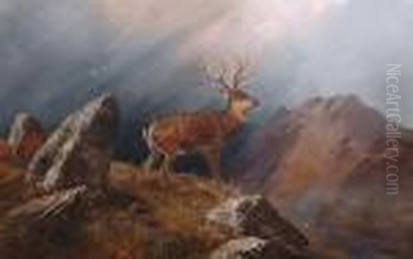 A Stag In A Highland Landscape. Oil Painting by Clarence Roe