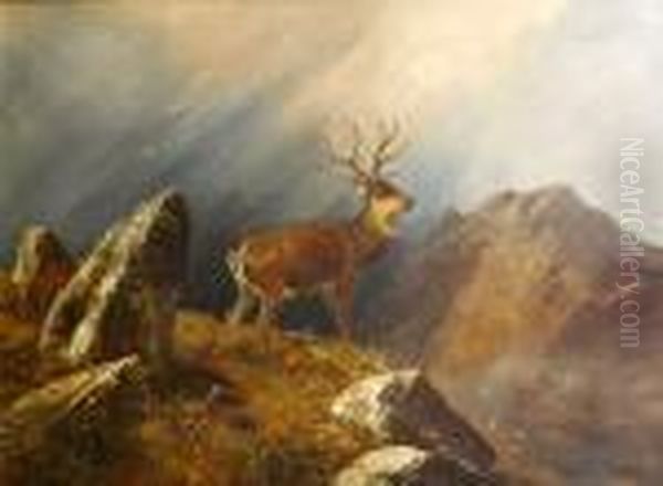 Stag In A Mountain Landscape Oil Painting by Clarence Roe