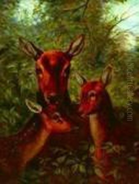 Clarence Ernest Roe . A Mother Doe With Her Fawns, Signed Lower Right Oil Painting by Clarence Roe