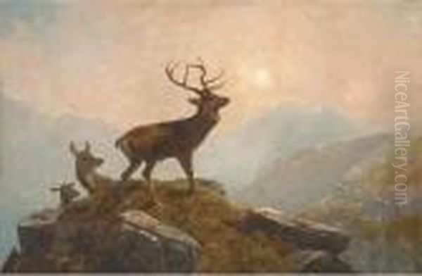 Stags In A Highland Landscape Oil Painting by Clarence Roe