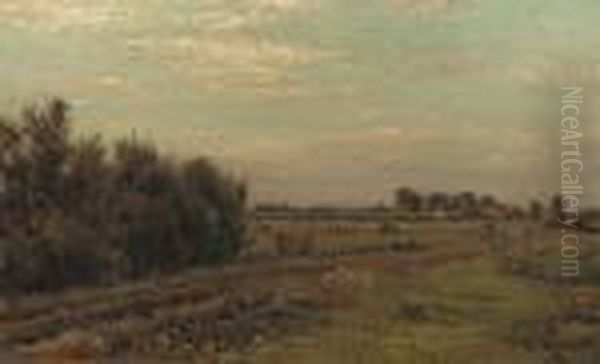 Cows Grazing In The Pasture Oil Painting by Willem Roelofs