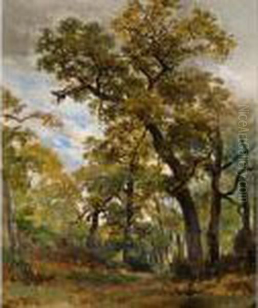 Sous-bois, Fontainebleau Oil Painting by Willem Roelofs